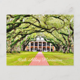 Oak Alley Plantation Postkarte
