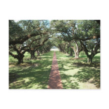 Oak Alley Plantway