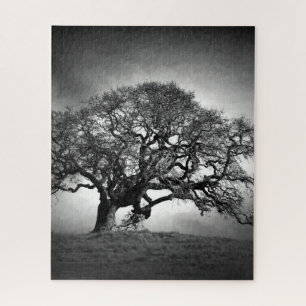 OAK-BAUM