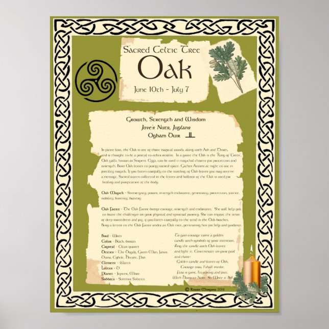 OAK CELTIC SACRED TREM POSTER (Vorne)