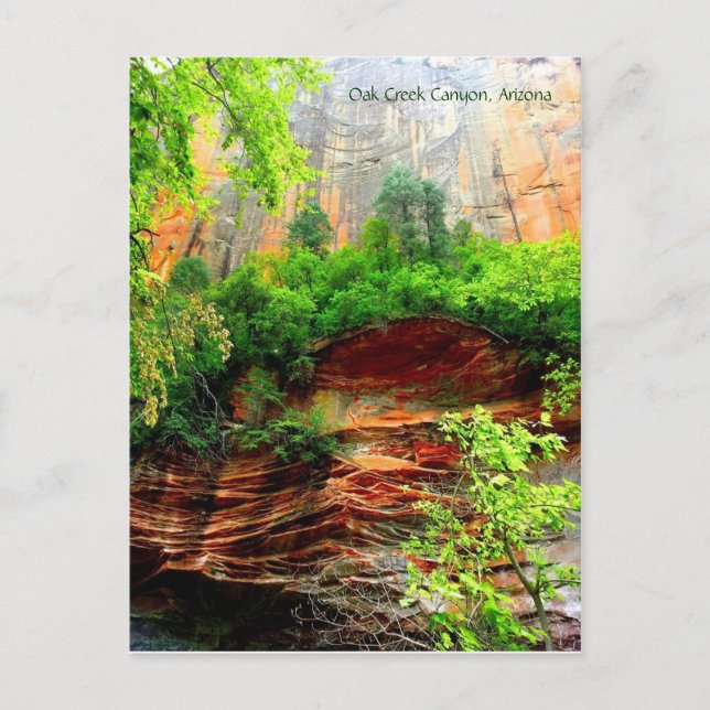 Oak Creek Canyon Postkarte (Vorderseite)