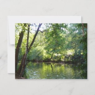Oak Creek I in Sedona Arizona Naturfotografie