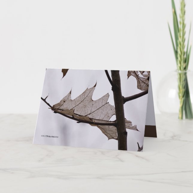 Oak Ghost Leaf Karte (Vorderseite)