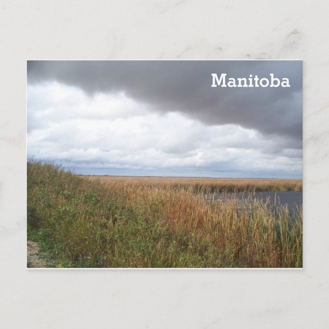 Oak Hammock Marsh Postkarte (Vorderseite)