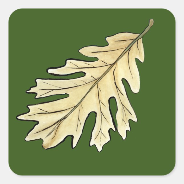 Oak Leaf Watercolor Quadratischer Aufkleber (Vorderseite)