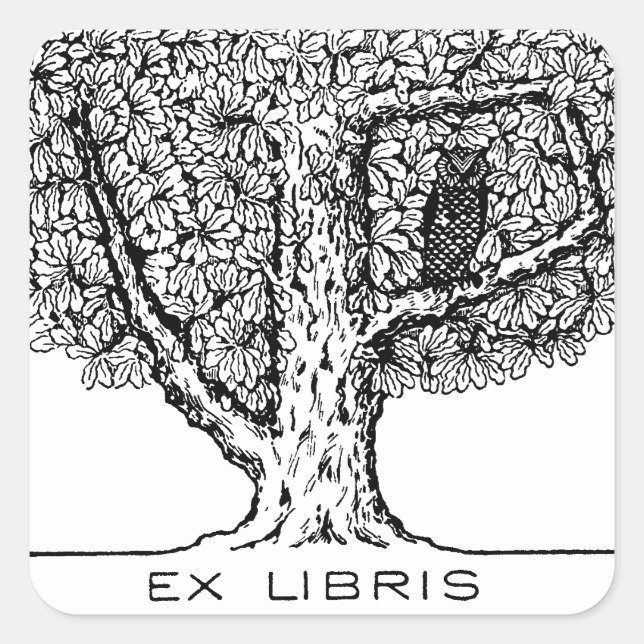 Oak Tree autocollant de la plaque d'immatriculatio (Devant)