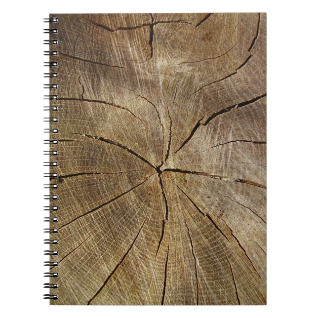 Oak Tree Cross Section Foto Notebook Notizblock (Vorderseite)