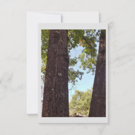 Oak Tree Note Card Dankeskarte