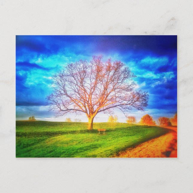 Oak Tree Postcard Postkarte (Vorderseite)