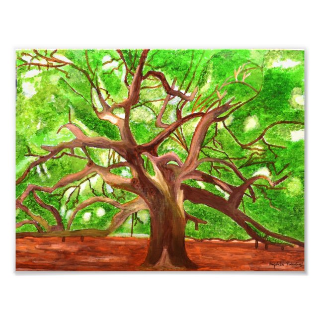 Oak Tree Print Fotodruck (Vorne)