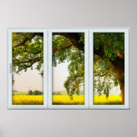 Oak Tree White 3 Pane Window Illusion