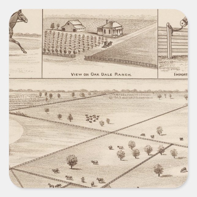 Oakdale Ranch Quadratischer Aufkleber (Vorderseite)