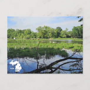 Oakland Metropark Swans mit Logo Postkarte