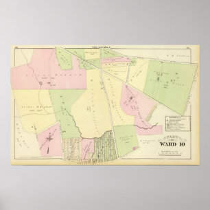Oaklands und Smith flechten Atlas-Karte Poster