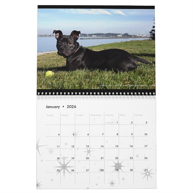 Oaklandtierdienstleistungen - 2010 kalender (Jan 2026)