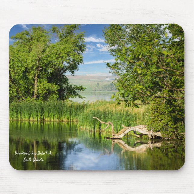 Oakwood Lakes Staat Park Mousepad (Vorne)