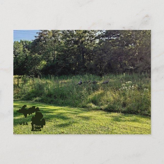 Oakwood Metropark Türkei Weg mit Logo Postkarte (Vorderseite)