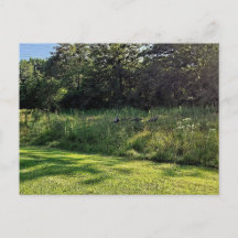 Oakwood Metropark Türkei Weg