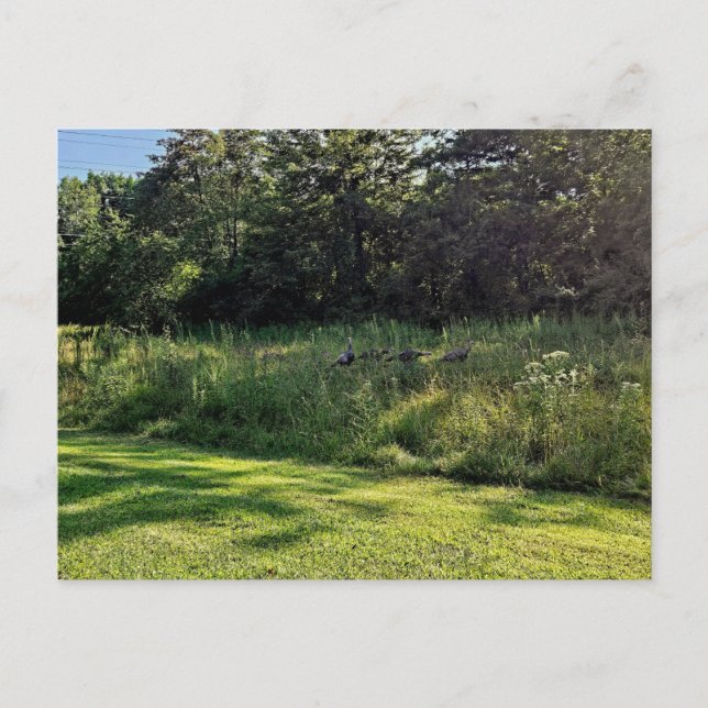 Oakwood Metropark Türkei Weg Postkarte (Vorderseite)