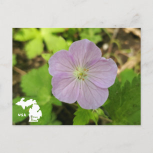 Oakwoods Metropark Wild Geranium mit Logo Postkarte