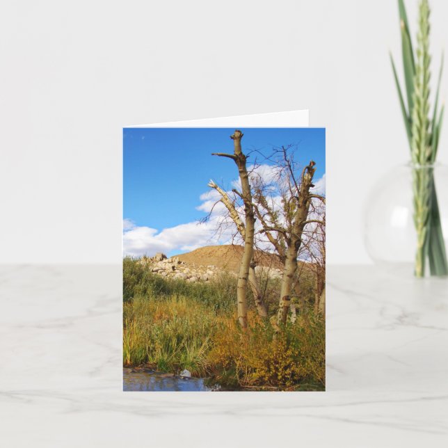 Oase Karte (Vorderseite)