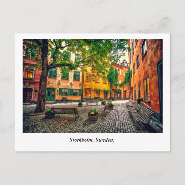 Oase Postkarte (Vorderseite)