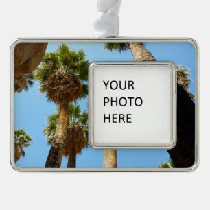 Oasenpalmen im Joshua Tree National Park Rahmen-Ornament Silber