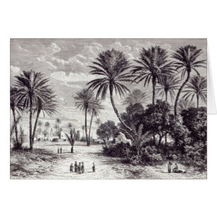 Oasis de Gafsa : Tunis