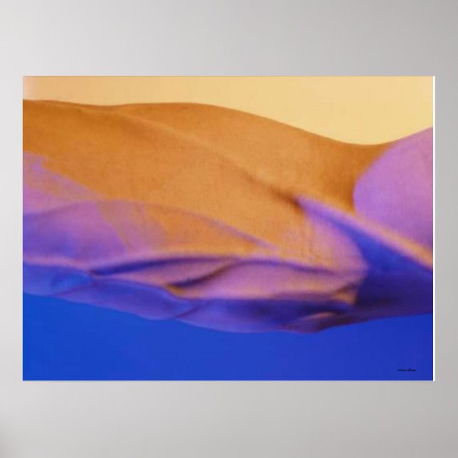 Oasis Poster (Vorne)