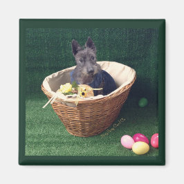 Oaster Basket Scottie Magnet