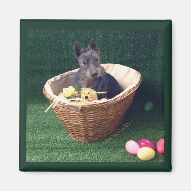 Oaster Basket Scottie Magnet (Vorne)
