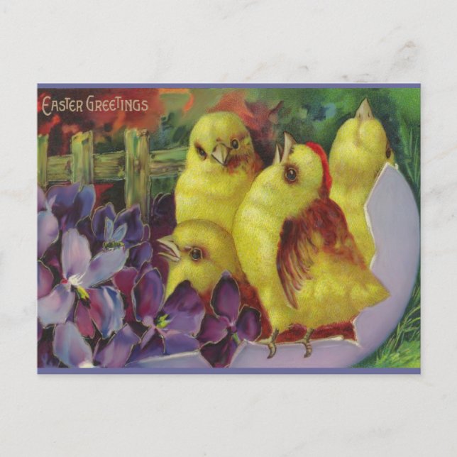 Oaster Chick Greetings Feiertagspostkarte (Vorderseite)