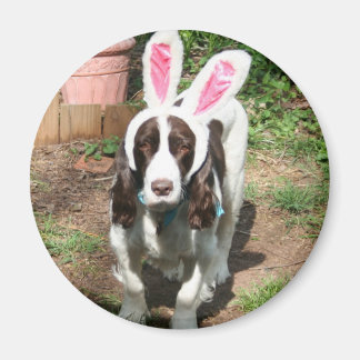 Oaster Hank Magnet