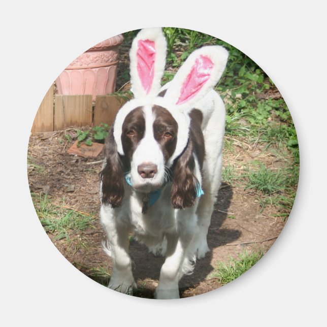 Oaster Hank Magnet (Vorne)