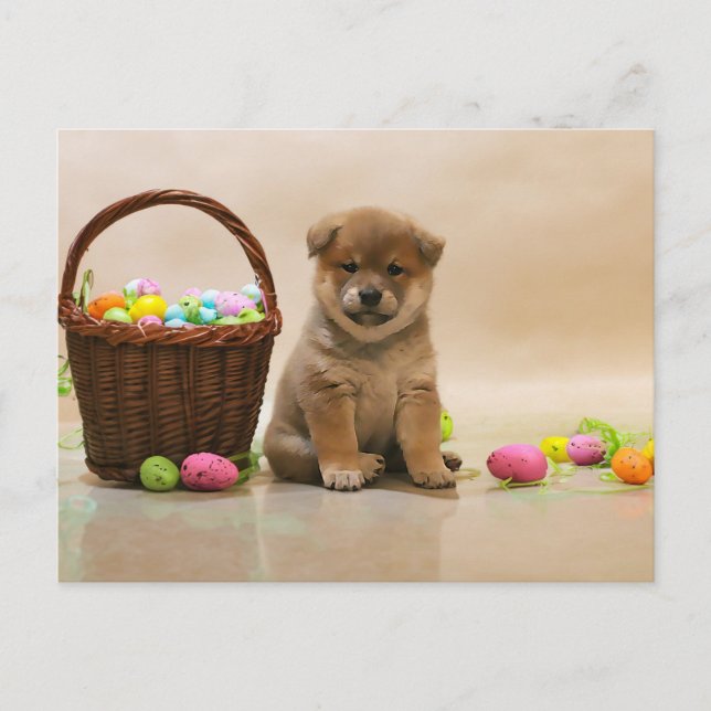 Oaster Shiba Inu Feiertagspostkarte (Vorderseite)