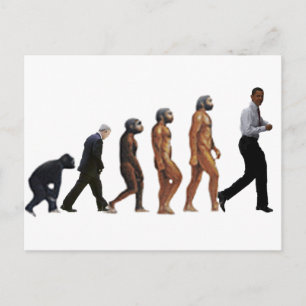 Obama-Evolution Postkarte