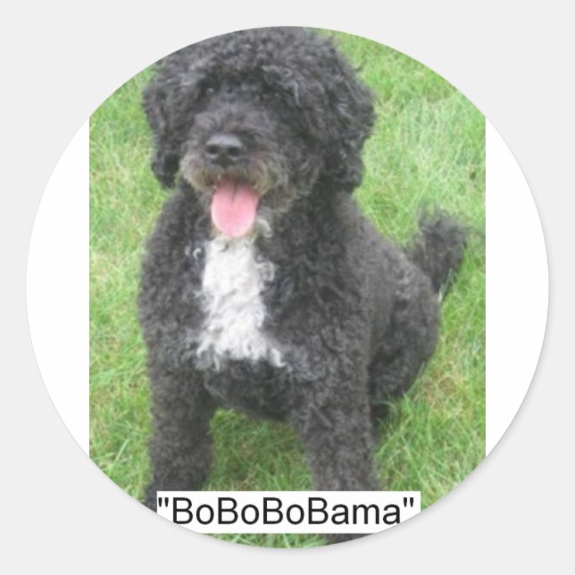 Obama Pet Portugiesischer Wasserhund Runder Aufkleber (Vorderseite)