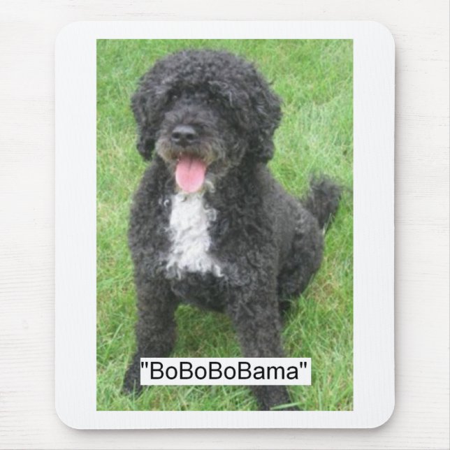 Obamas Haustier/portugiesischer Wasserhund Mousepad (Vorne)