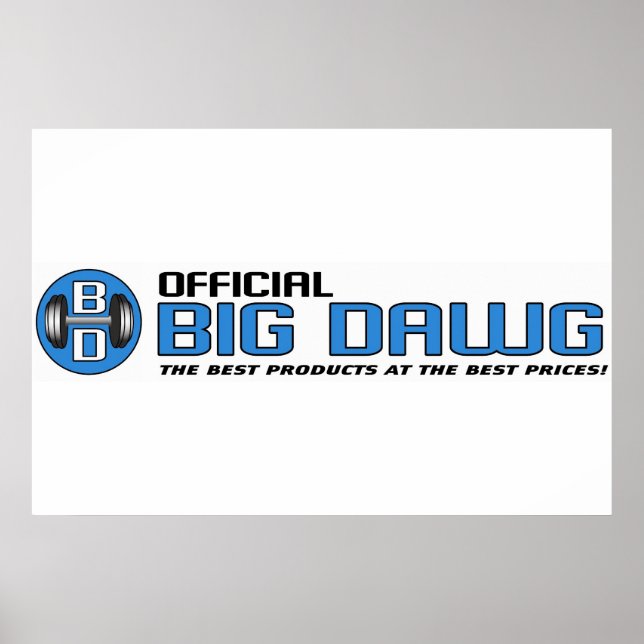 OBD BANNER POSTER (Vorne)