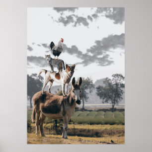 Oben drauf poster