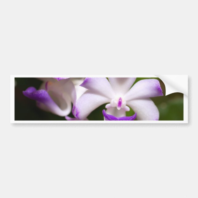 oben geschlossen von der Orchideen-Blume Autoaufkleber (Vorne)