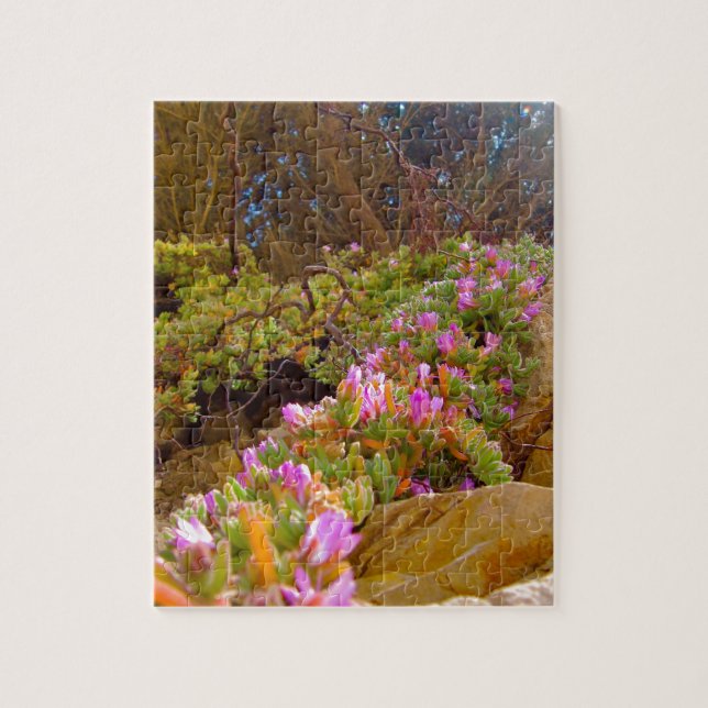 Oben schauen (Vertikal)