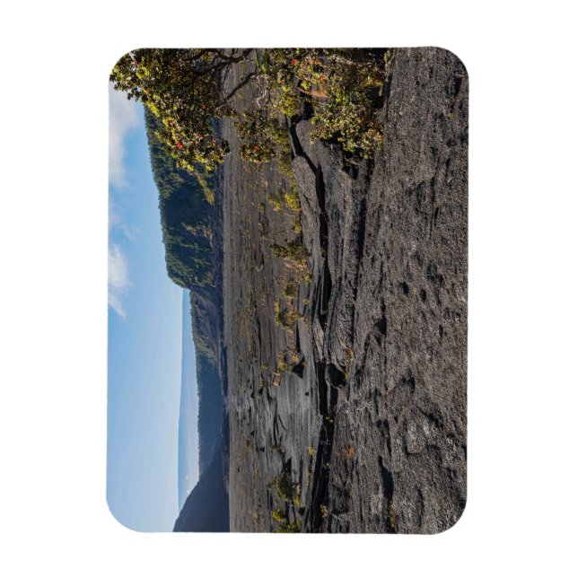 Oben trockenes Lavasee des Kilauea iki Kraters Magnet (Vertikal)