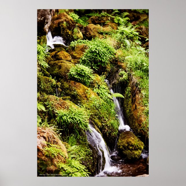 Oben und unten poster (Vorne)