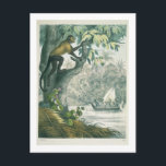 Obere Ausläufer des Amazonas, von 'Das Buch der Wi Postkarte<br><div class="desc">Bild:217028 Obere Reichweite des Amazonas, von 'Das Buch der Welt', erschienen 1858 (Farblitho). Deutsche Schule (19. Jahrhundert). Private Sammlung, The Stapleton Collection. Kunst, Kunst.</div>