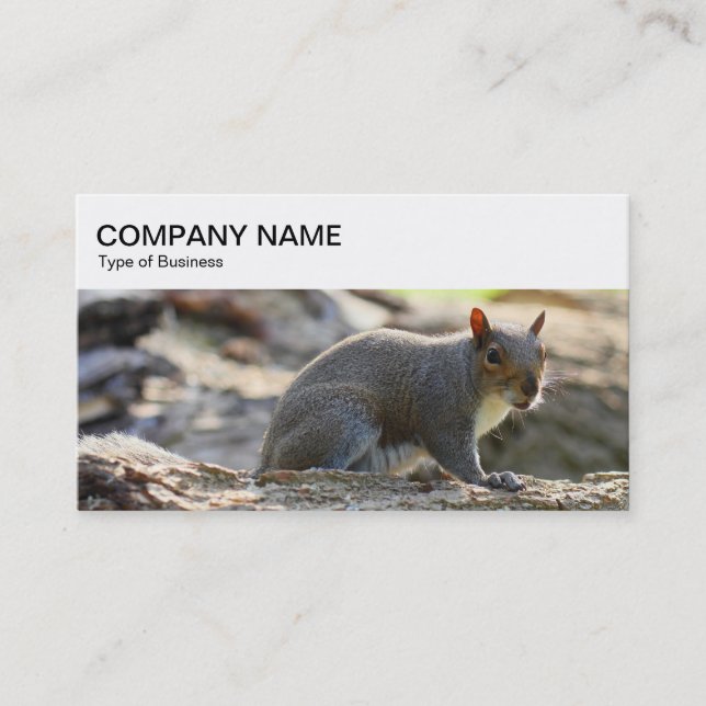 obere Leiste - Graue Eichhörnchen-Visitenkarte Visitenkarte (Vorderseite)