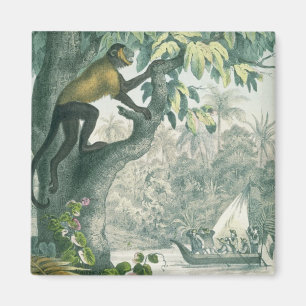 Obere Reichweiten des Amazonas, von 'DAS Buch der Magnet