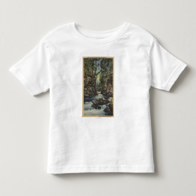 Obere Schlucht Ansicht des Schurken- Fluss-, Kleinkind T-shirt (Vorderseite)