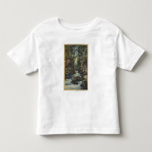 Obere Schlucht Ansicht des Schurken- Fluss-, Kleinkind T-shirt