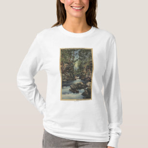 Obere Schlucht Ansicht des Schurken- Fluss-, T-Shirt